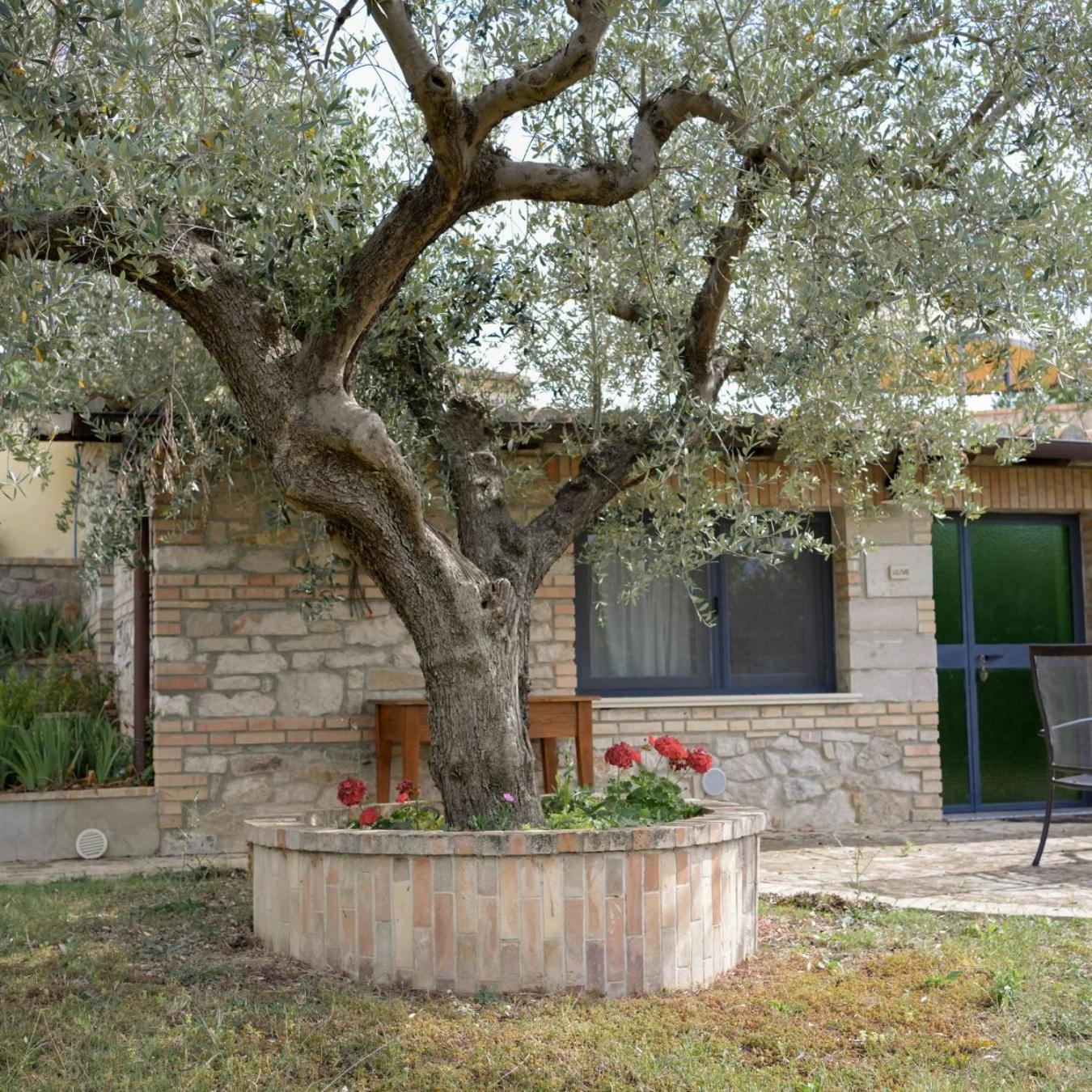 La Fattoria Di Maria Donata Villa Cugnoli Exterior photo